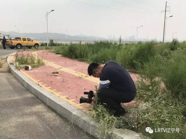 三个推进”辽宁行｜营口这里的企业只需“动嘴”干部帮忙“跑腿”