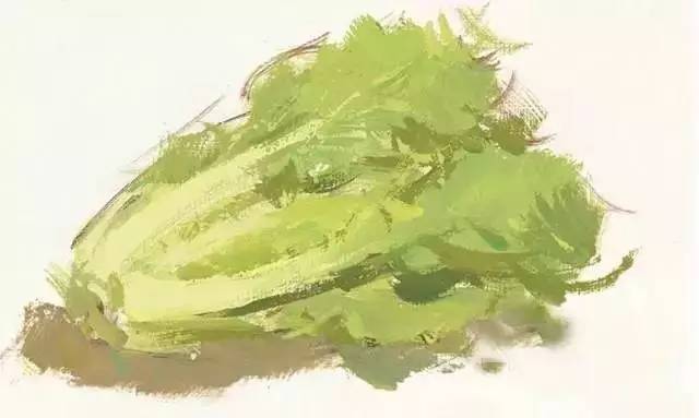 水粉画详细教程讲解,水粉画技法和技巧