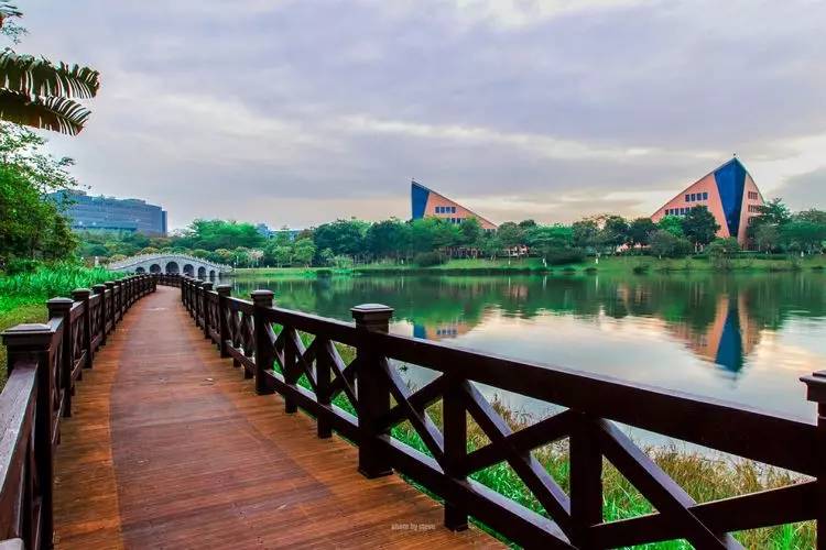 为什么那么多的人都喜欢东莞呢,为什么越来越多的人想回去