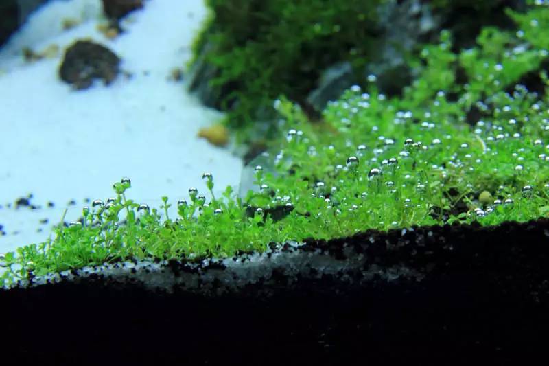 旅游时看到山川河流的感悟,旅游途中看到的景物