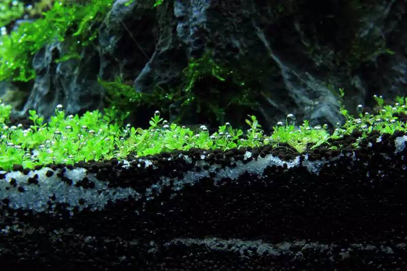 旅游时看到山川河流的感悟,旅游途中看到的景物