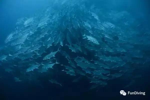 从入门级到朝圣级，船宿该怎么选？