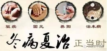 夏至已至全部视频,江阴夏至吃馄饨的习俗