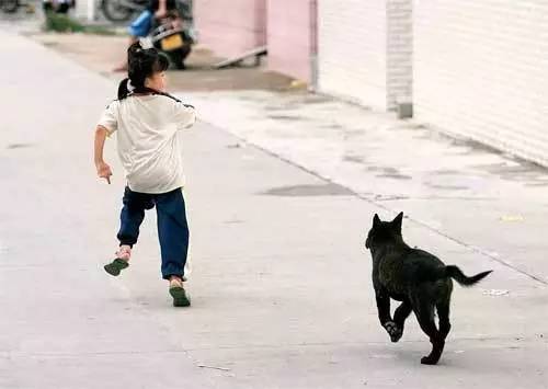 遇到讨厌狗狗的邻居怎么办,如何对付讨厌狗狗的人