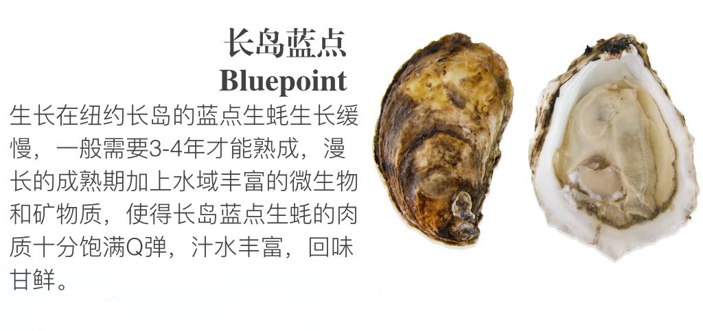 贝隆生蚝,贝隆生蚝和吉拉多生蚝哪种好