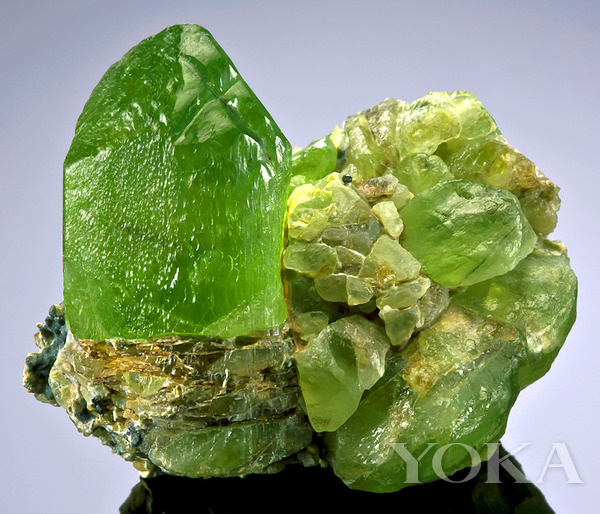 掐指一算:清新橄榄石俘获王室易“剁手”成性价比之王