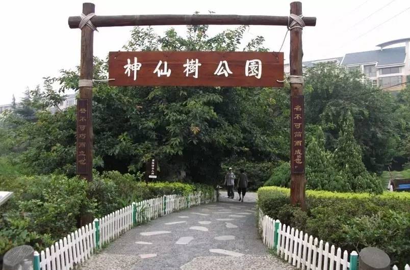 成都周边徒步健身绿道,成都绿道骑行公园