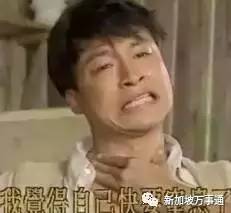 吉隆坡榴莲哪家最好 (吉隆坡榴莲哪里便宜)