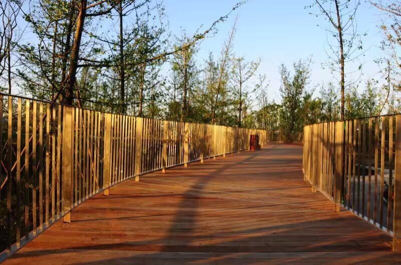 成都周边徒步健身绿道,成都绿道骑行公园