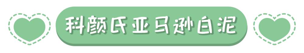 平价清洁面膜泥哪个牌子好,清洁面膜真实评测推荐