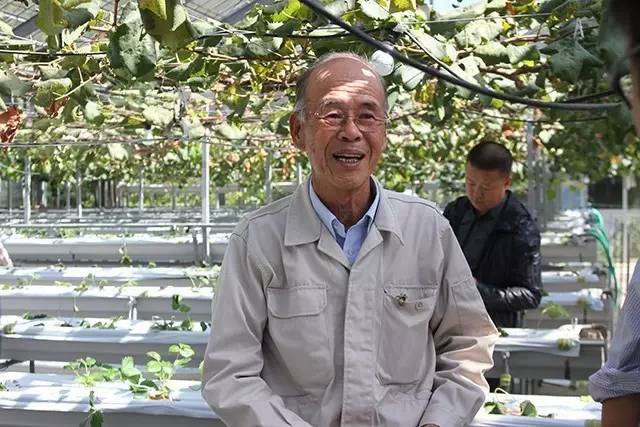 印象日本:“岛国”农业为什么能做得风生水起?