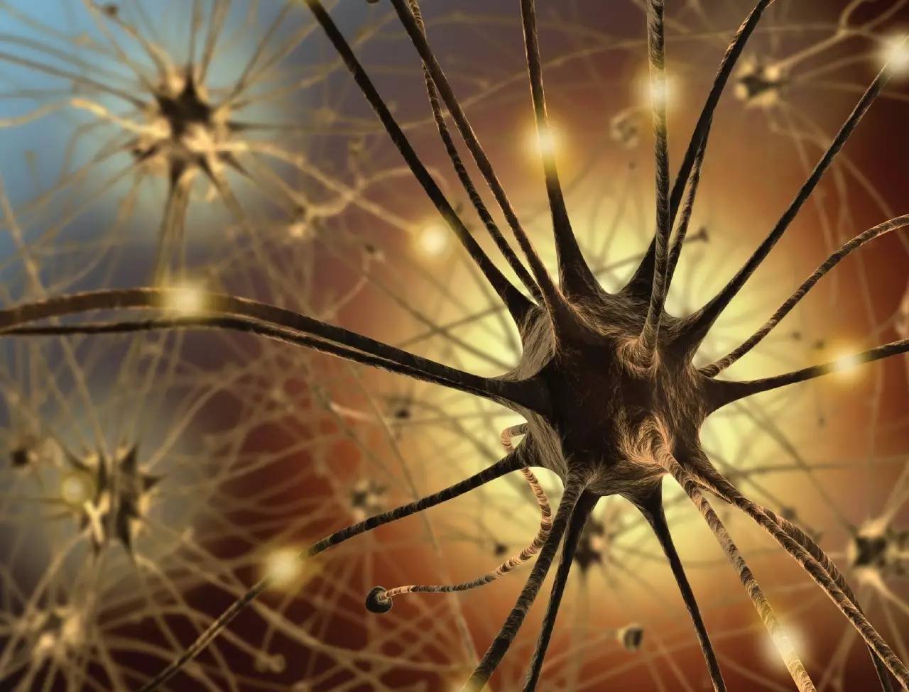 令人惊叹的科学成果,近期最顶尖的科学成果