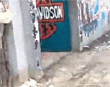 你家猫被人抓去画本子了！