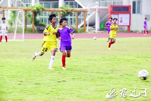 奶爸导师,奶爸教练的视频