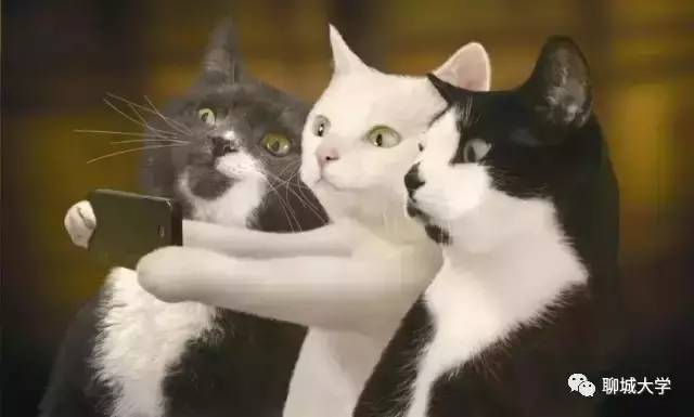 新生军训全攻略,军训5大攻略超实用