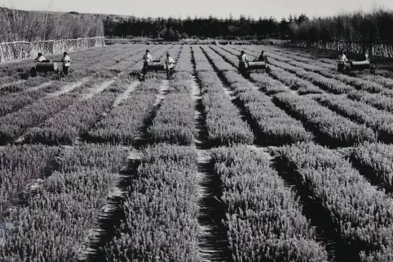 英国小哥到中国旅游,英国小哥来到中国旅游