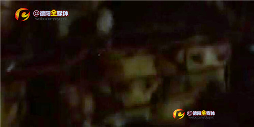 志愿者高速拦车救狗,德阳救助人员