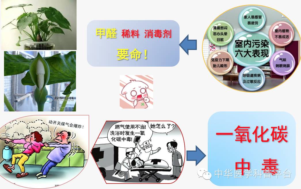 危险的中毒,危险的毒素