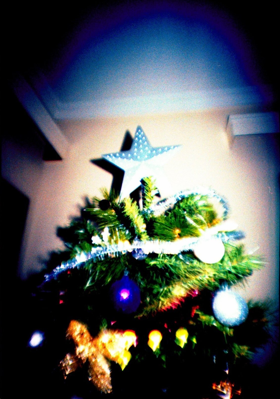 lomo摄影成立了多少年,lomo摄影是什么意思