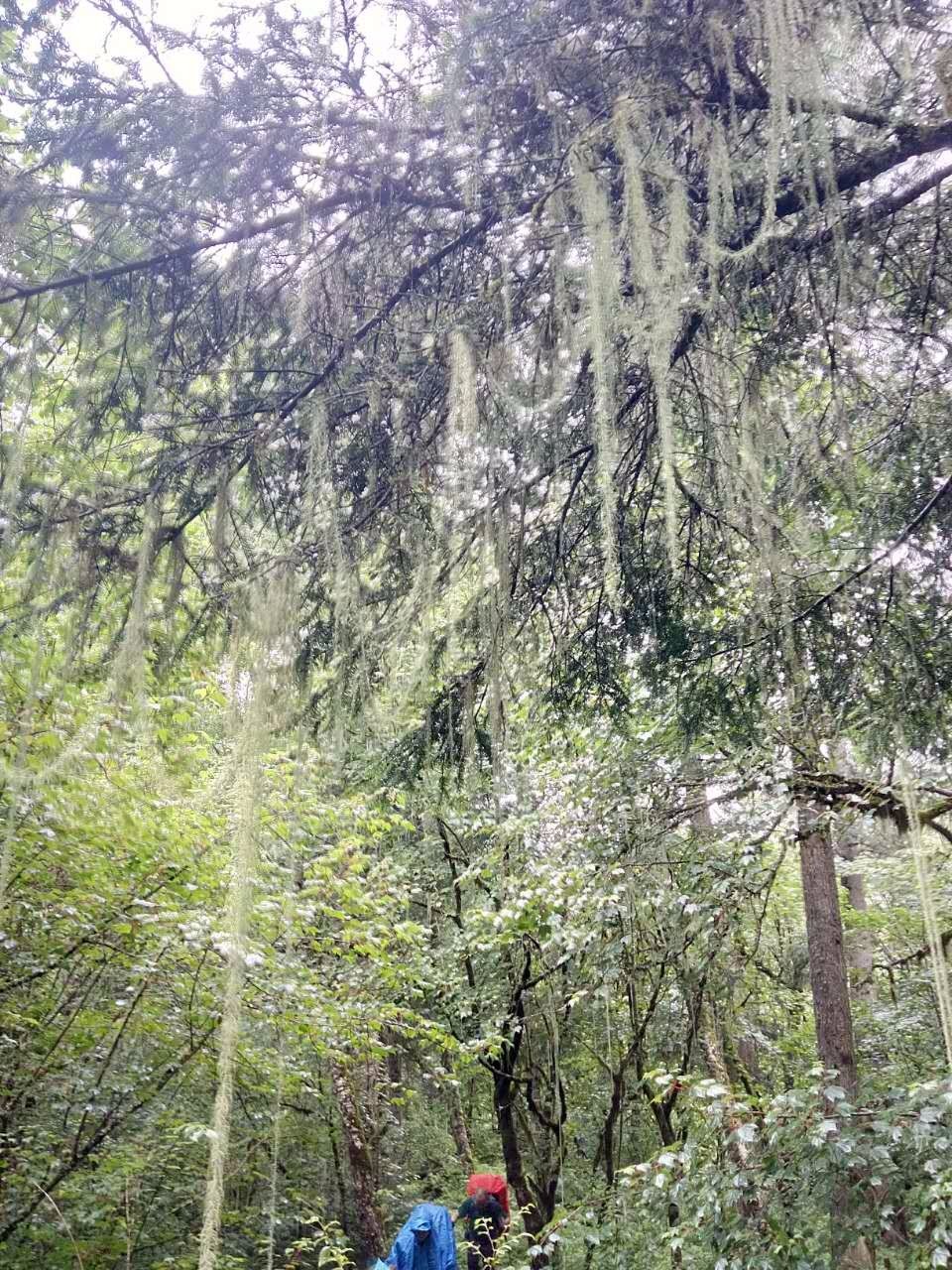 户外小白成长记,户外小白进阶课