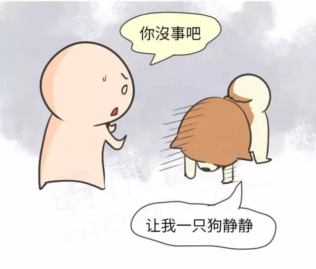 我家博美犬长得怎么样,博美犬8岁是老狗吗