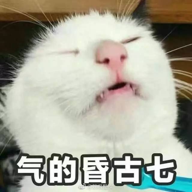 假冒注册商标案刑事判决书,假冒商标商品罪案例判决书