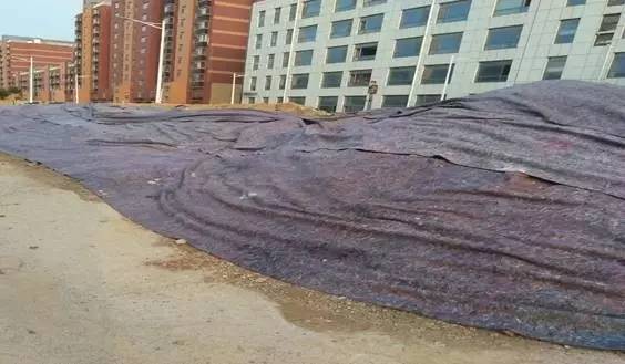 啄木鸟行动消灭错别字,朝阳市建平县啄木鸟行动