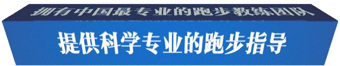 董国建和杨定宏,董国建杨定宏