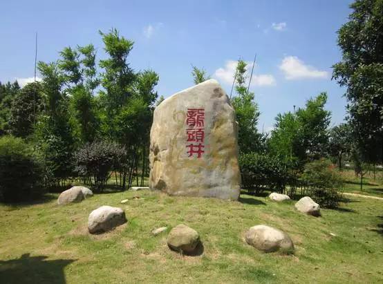 长沙葡萄采摘,长沙天露葡萄采摘时间