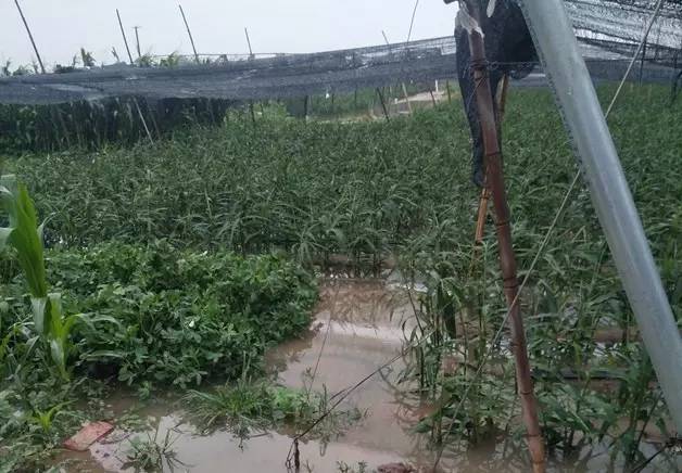 啄木鸟行动消灭错别字,朝阳市建平县啄木鸟行动