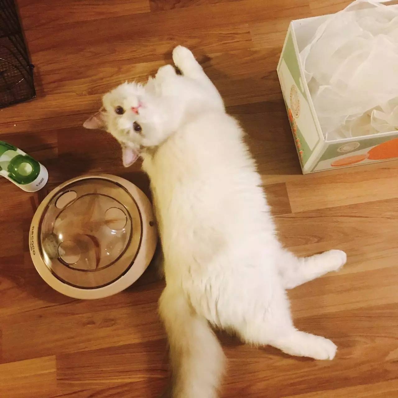 用美容仪护肤有没有帮助,美容仪真的可以紧肤吗