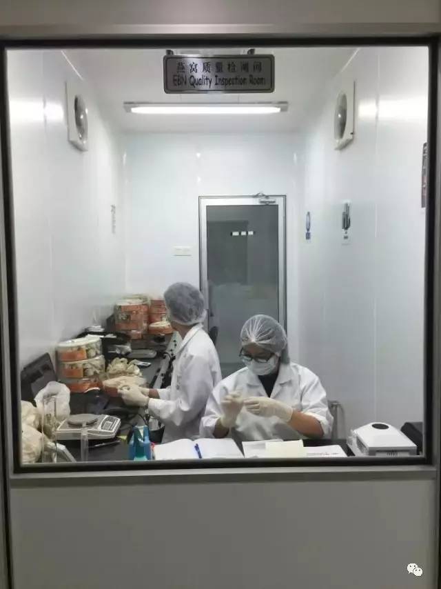 燕窝该怎么挑选,燕窝怎么挑才快又干净