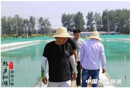 泥鳅养殖技术的最新视频,泥鳅养殖技术和视频