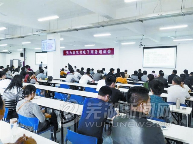 无为县电商平台,淮阳区电子商务进农村