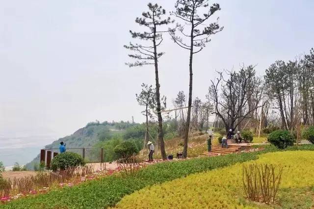 写在沿黄公路韩城段开通之际｜沿黄公路：黄河岸边一条闪亮的经济带