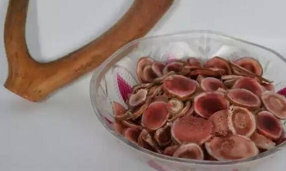 新鲜的鹿茸如何处理食用,鲜鹿茸需要怎么处理怎么吃