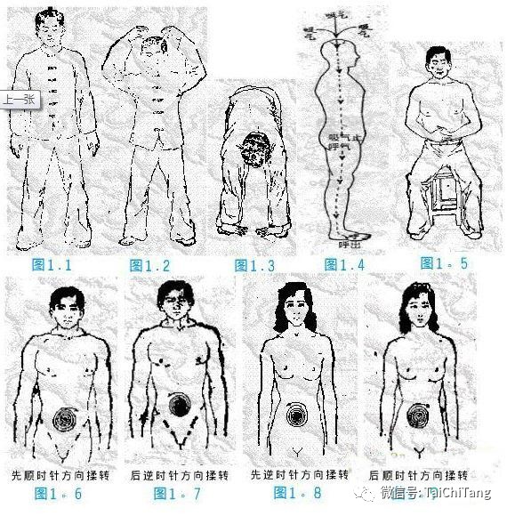 南少林八宝门气功功法,南少林八宝门拳法教学视频