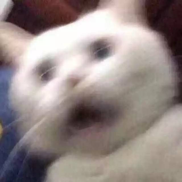 南北方差异的小总结,南北方十大差异