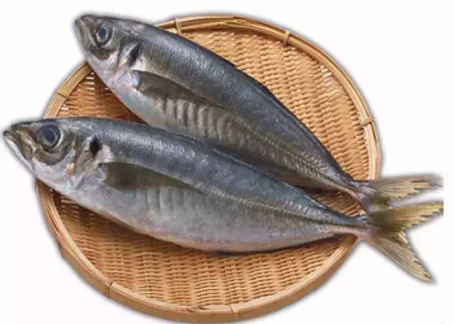 原创｜烟台一年最嗨的日子来了！即将开海，这些图却火了