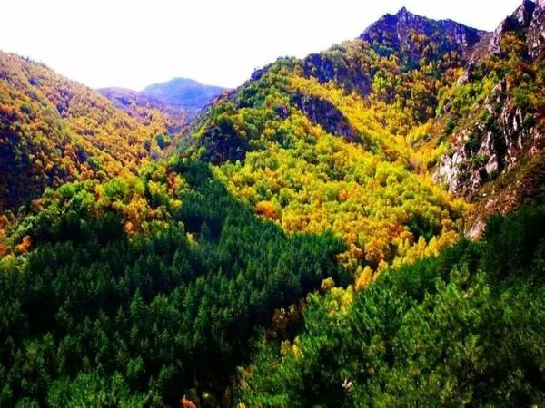 樂吧天下大同每周六发团