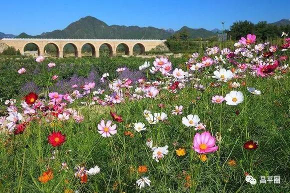 昌平约会,昌平约会哪个好玩