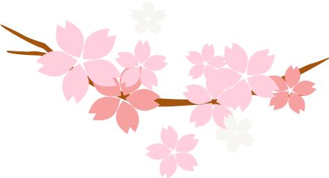 luna洁面仪第二代,硅胶洁面仪luna