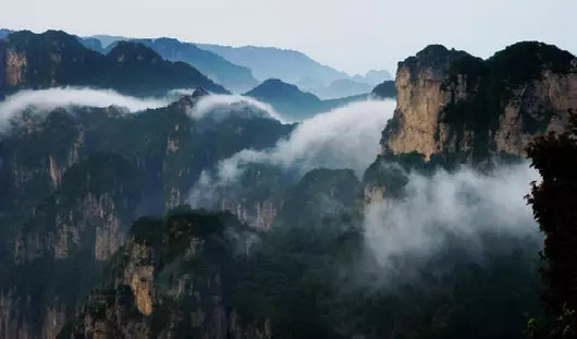 樂吧天下大同每周六发团