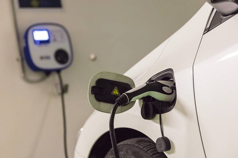 免费的午餐好吃吗,免费的午餐便宜吗