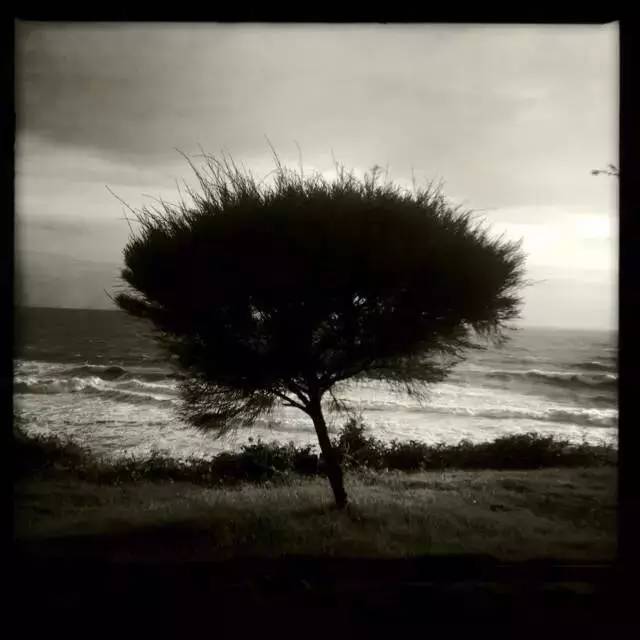 1分钟轻松搞定8个手机摄影技巧,想学一点入门的手机摄影技巧