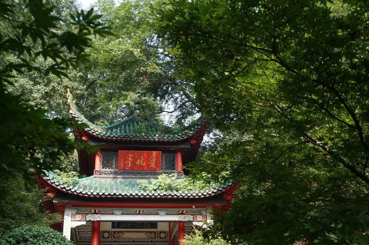 3月南京低价机票,2021年9月南京机票特价