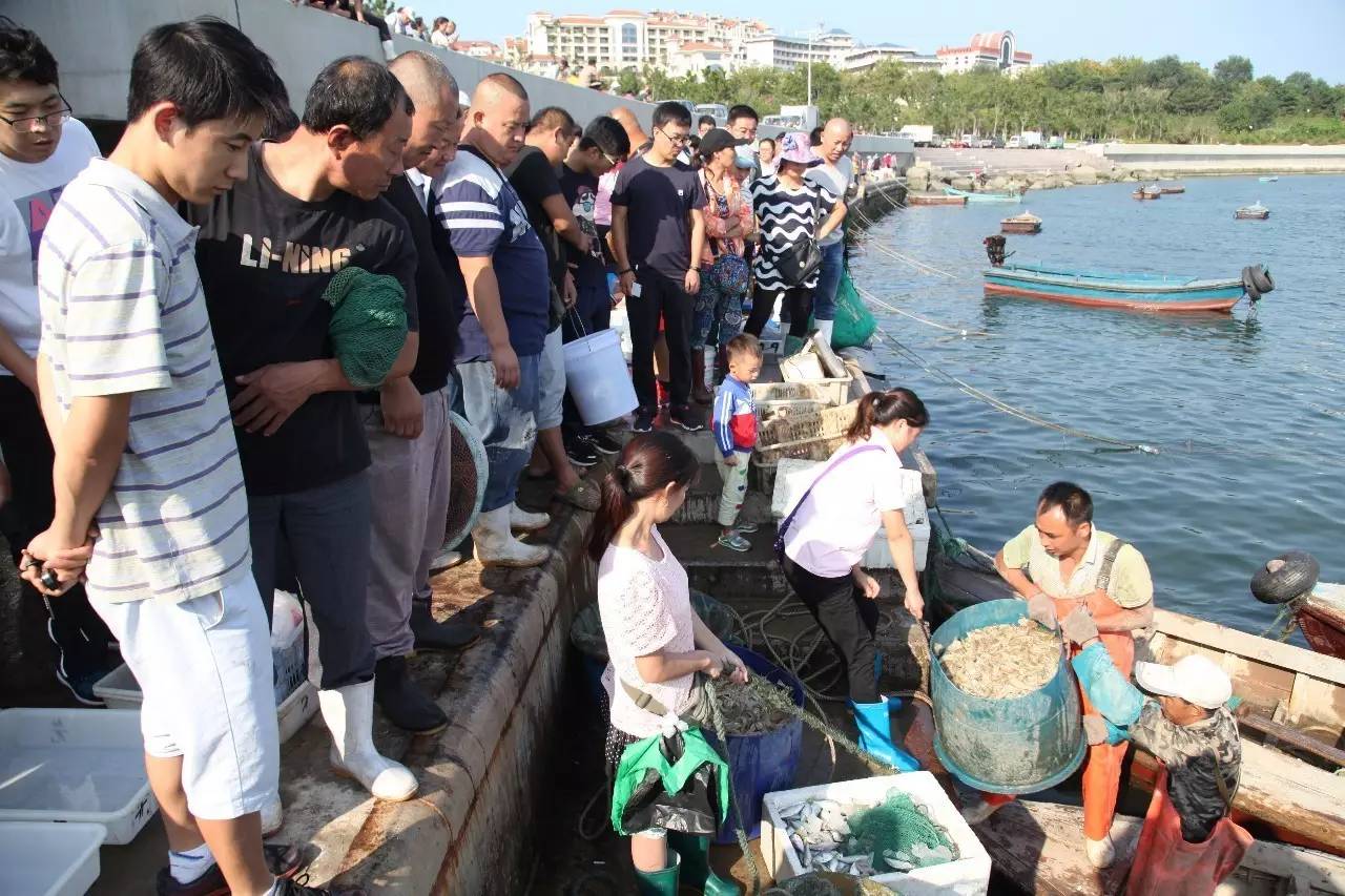 开海最新海鲜,开海时海鲜价