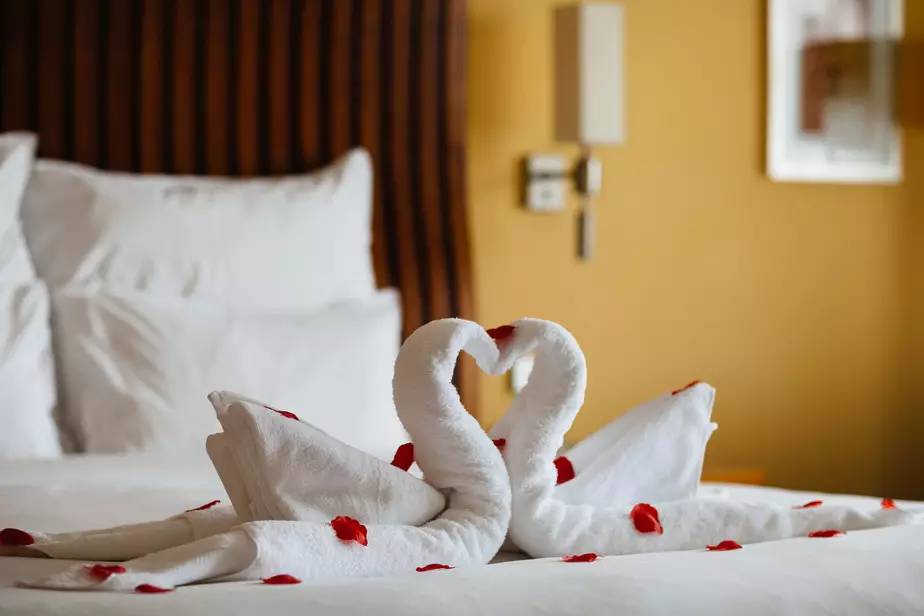 阿秋秋｜那些在缘舍举行婚礼的人，也太会选地方了吧