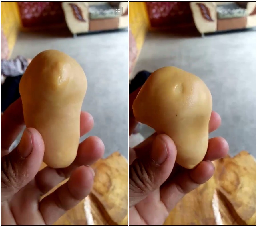 杀鸡后发现疑似鸡宝,杀鸡发现鸡宝怎么办