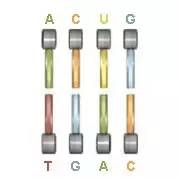 36个问题能让人坠入爱情,三十六个问题让对方爱上你